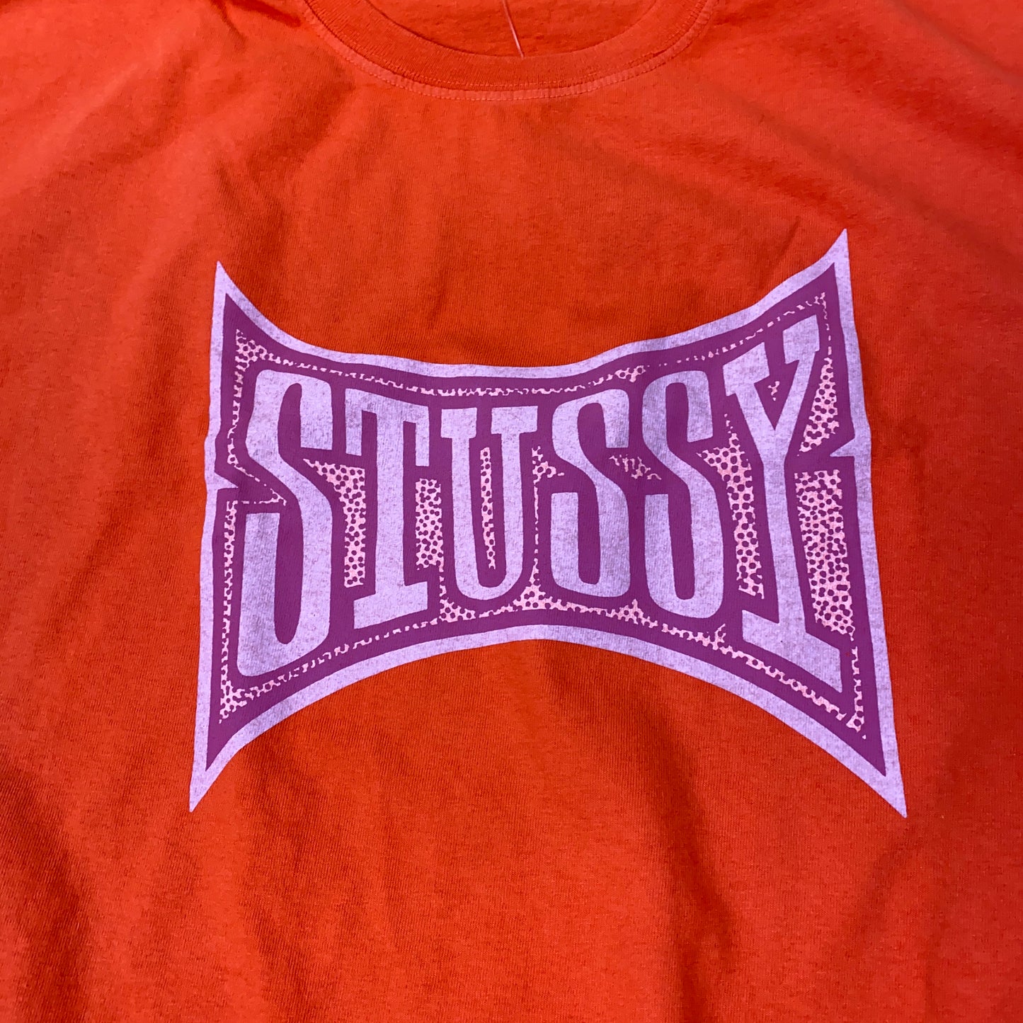Stussy Champion Pigment Dyed Tee Mens T-Shirt