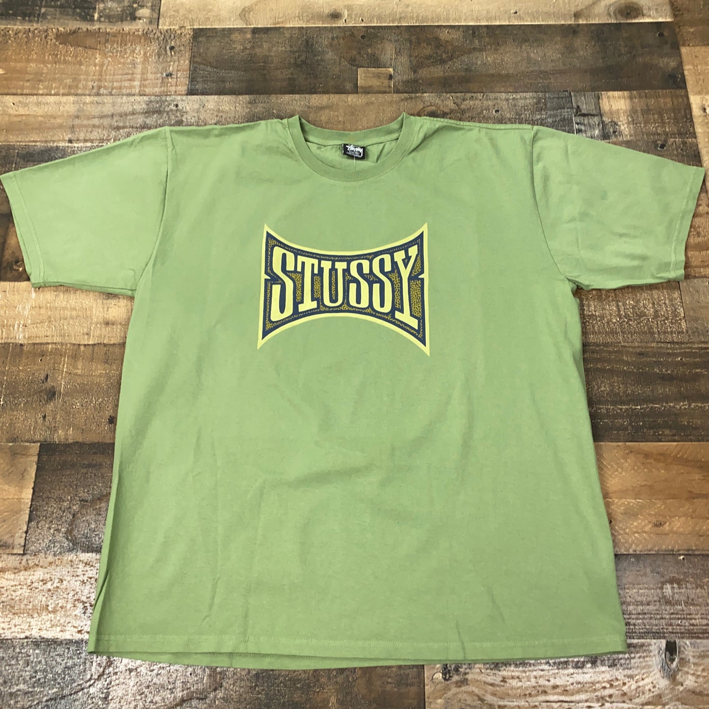 Stussy Champion Pigment Dyed Tee Mens T-Shirt