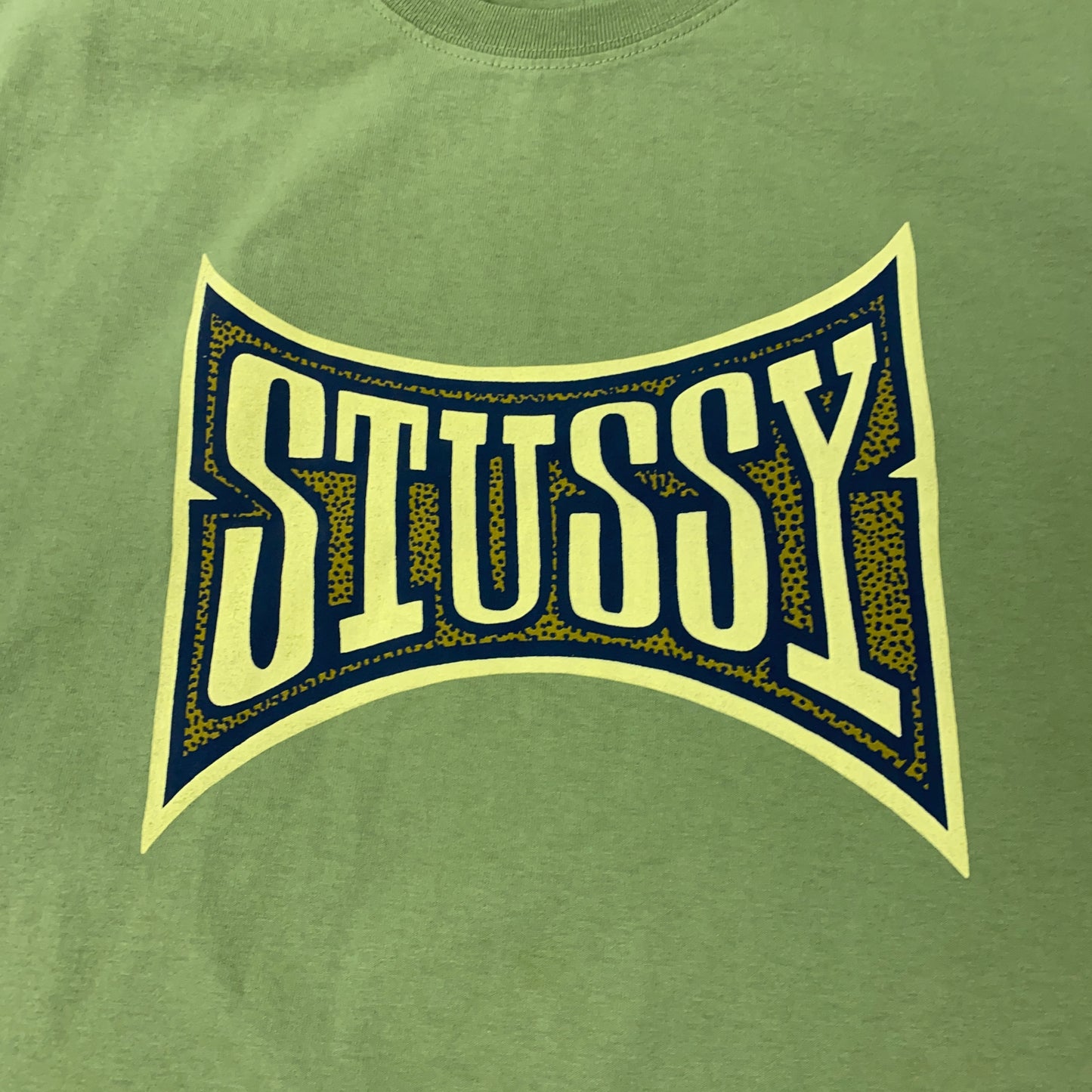 Stussy Champion Pigment Dyed Tee Mens T-Shirt