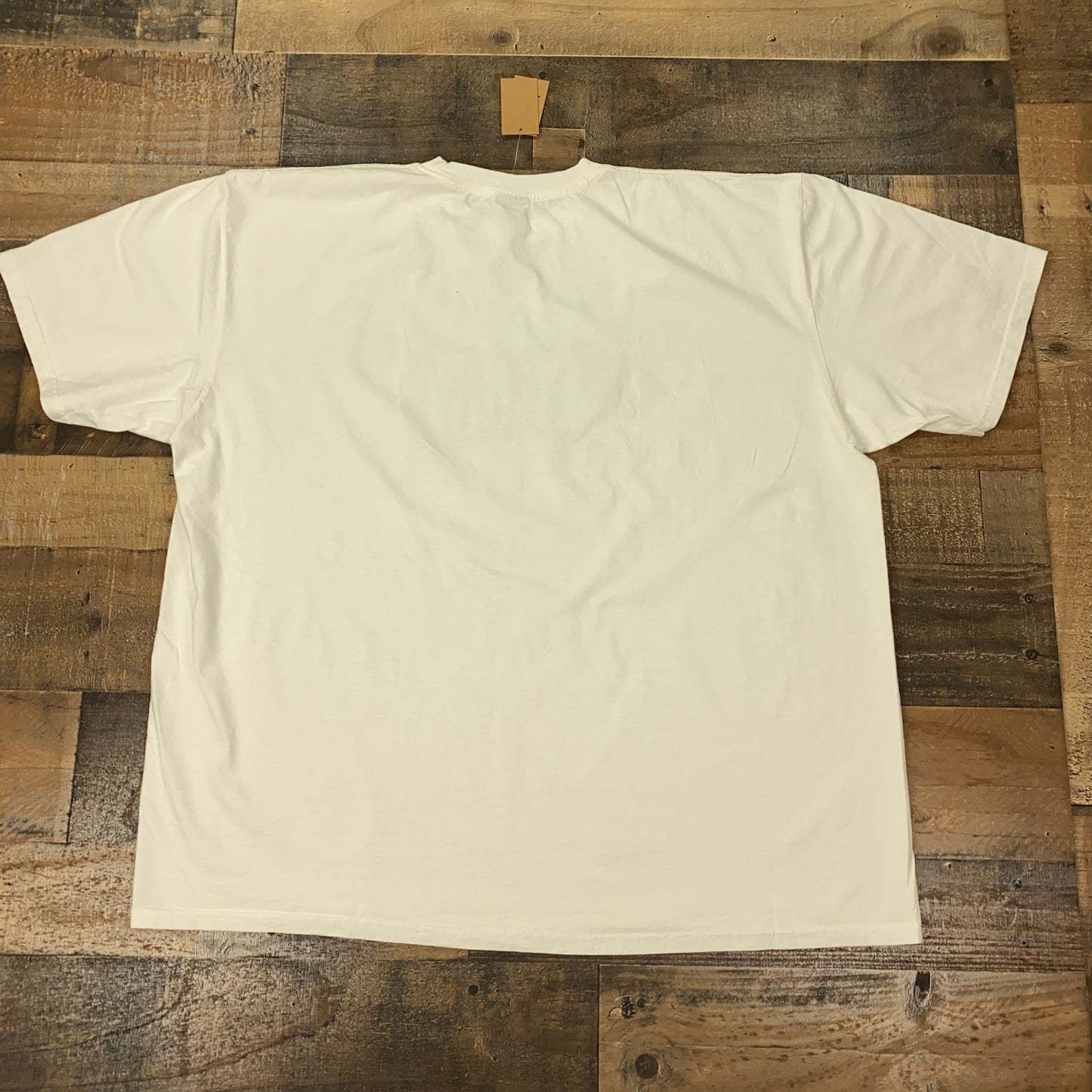 Stussy Champion Pigment Dyed Tee Mens T-Shirt