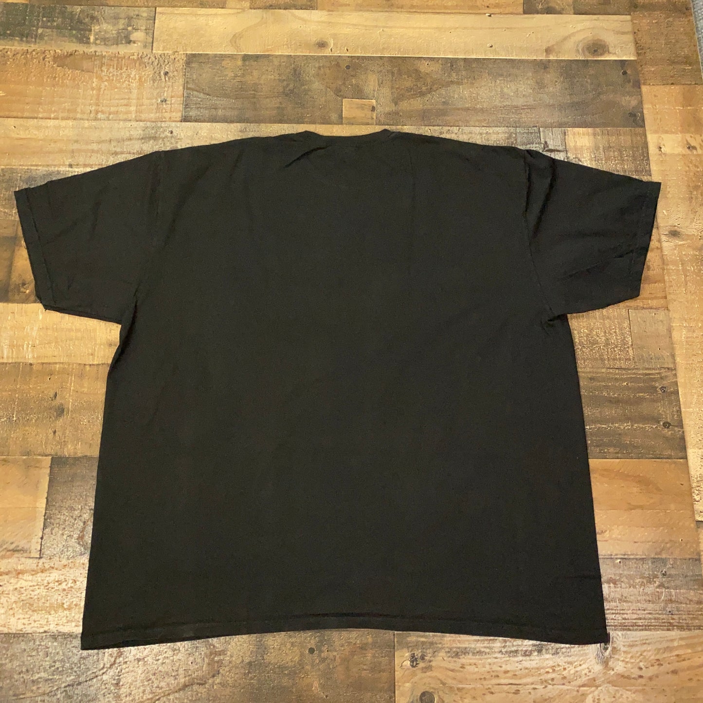 Stussy Champion Pigment Dyed Tee Mens T-Shirt