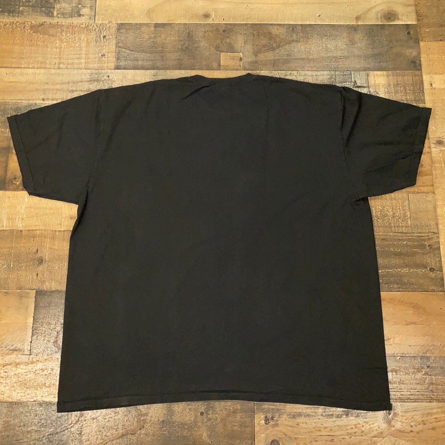 Stussy Champion Pigment Dyed Tee Mens T-Shirt