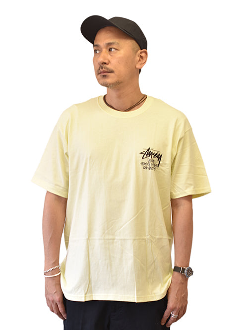 Stussy Los Angeles Stock T Shirt