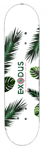 Palm 7.75" Skateboard Decks